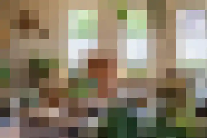 Notendreef 4 Arkel thumbnail 6