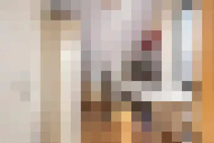 Notendreef 4 Heeswijk-Dinther thumbnail 20