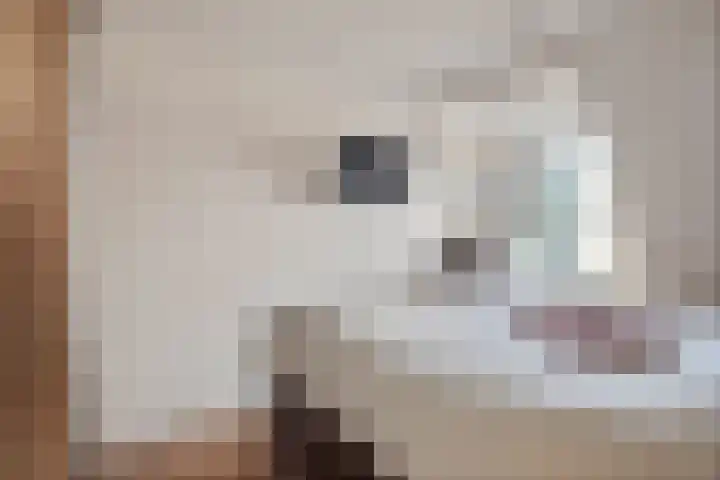 Notendreef 4 Heeswijk-Dinther thumbnail 22