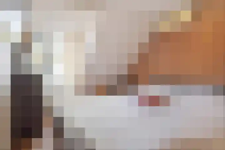 Notendreef 4 Heeswijk-Dinther thumbnail 23
