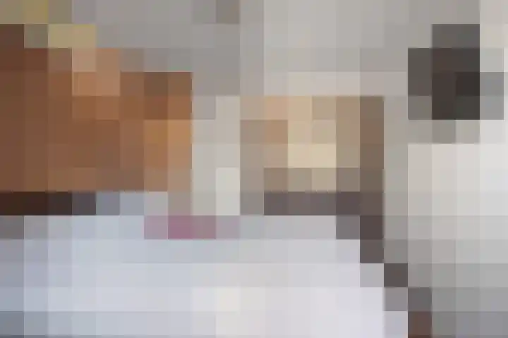 Notendreef 4 Heeswijk-Dinther thumbnail 24