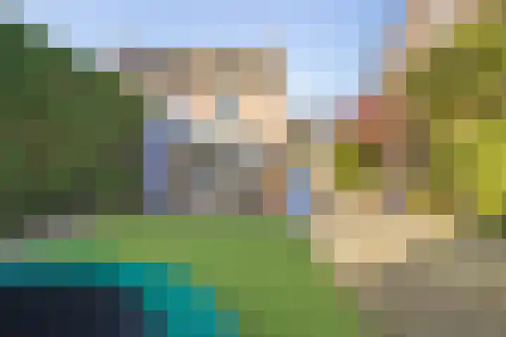 Notendreef 4 Heeswijk-Dinther thumbnail 35