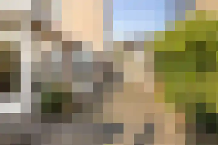Notendreef 4 Heeswijk-Dinther thumbnail 36