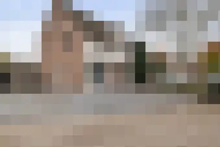 Notendreef 4 Heeswijk-Dinther thumbnail 6