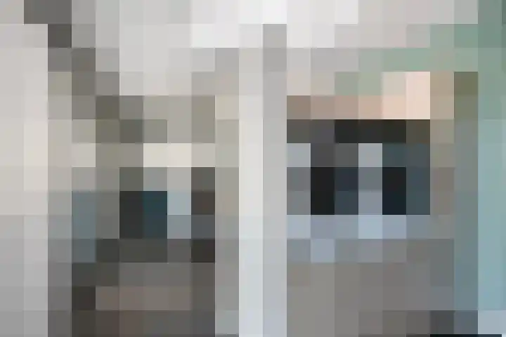 Notendreef 8 Heeswijk-Dinther thumbnail 20