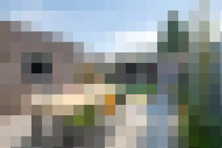 Notendreef 8 Heeswijk-Dinther thumbnail 39