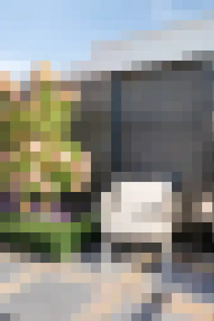 Notendreef 8 Heeswijk-Dinther thumbnail 40