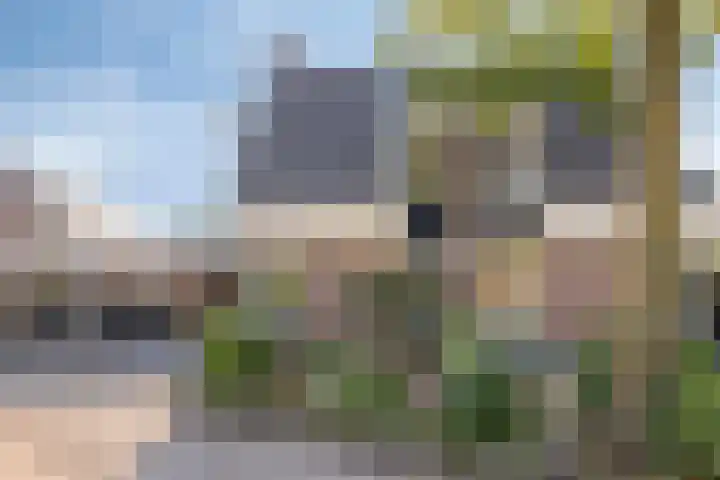 Notendreef 8 Heeswijk-Dinther thumbnail 45