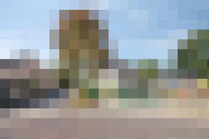 Notendreef 8 Heeswijk-Dinther thumbnail 47