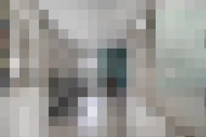 Notendreef 8 Heeswijk-Dinther thumbnail 9