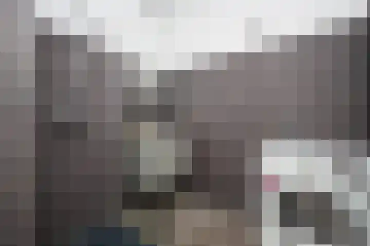 Noteneeweg 15 Terneuzen thumbnail 13