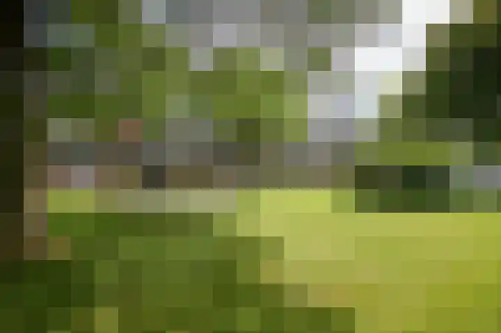 Noteneeweg 15 Terneuzen thumbnail 15