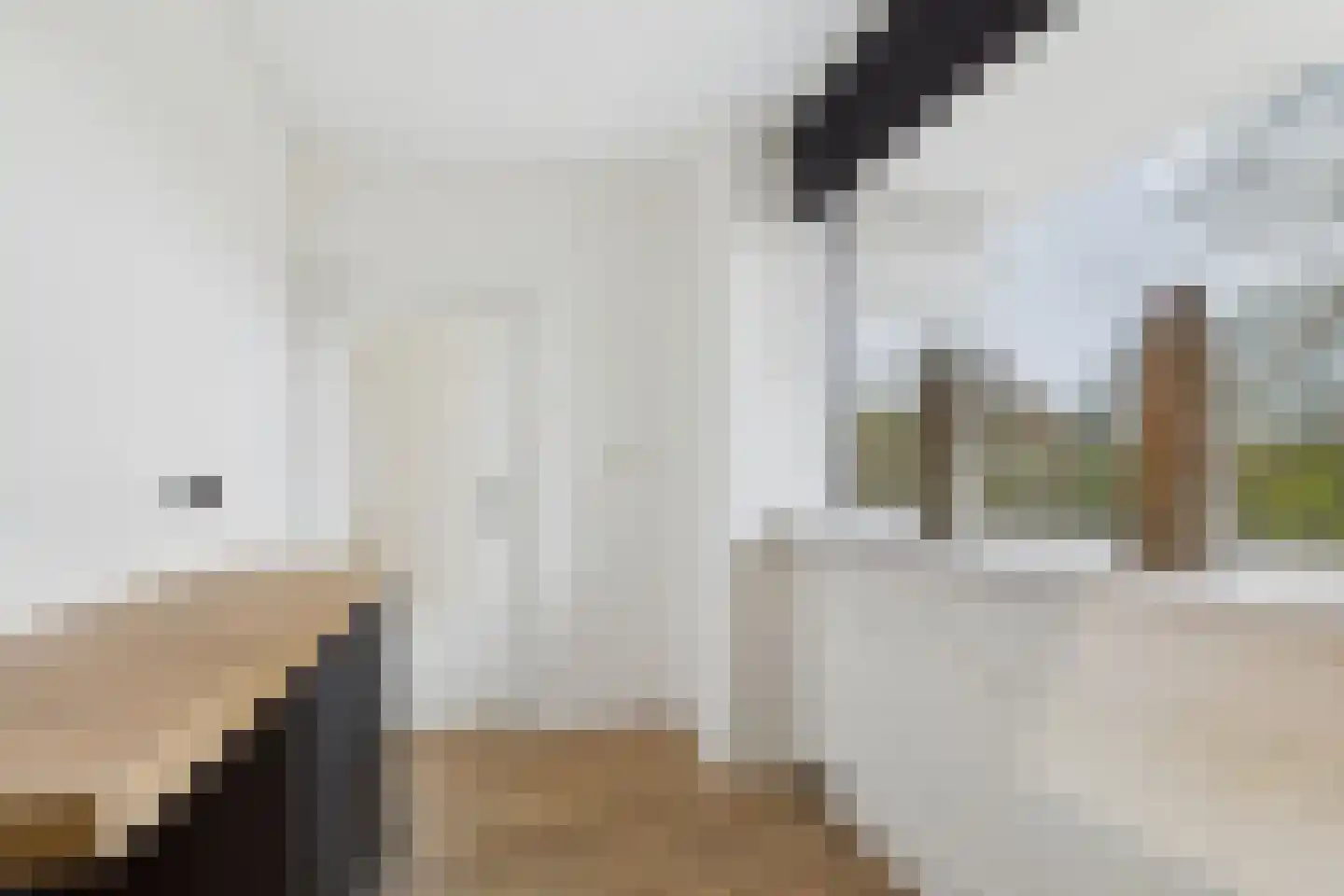 Noteneeweg 17 Terneuzen thumbnail 12