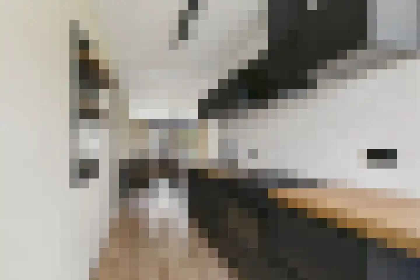 Noteneeweg 17 Terneuzen thumbnail 13