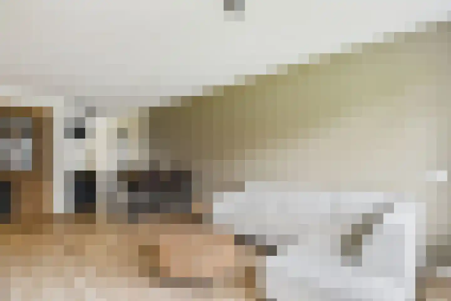 Noteneeweg 17 Terneuzen thumbnail 17