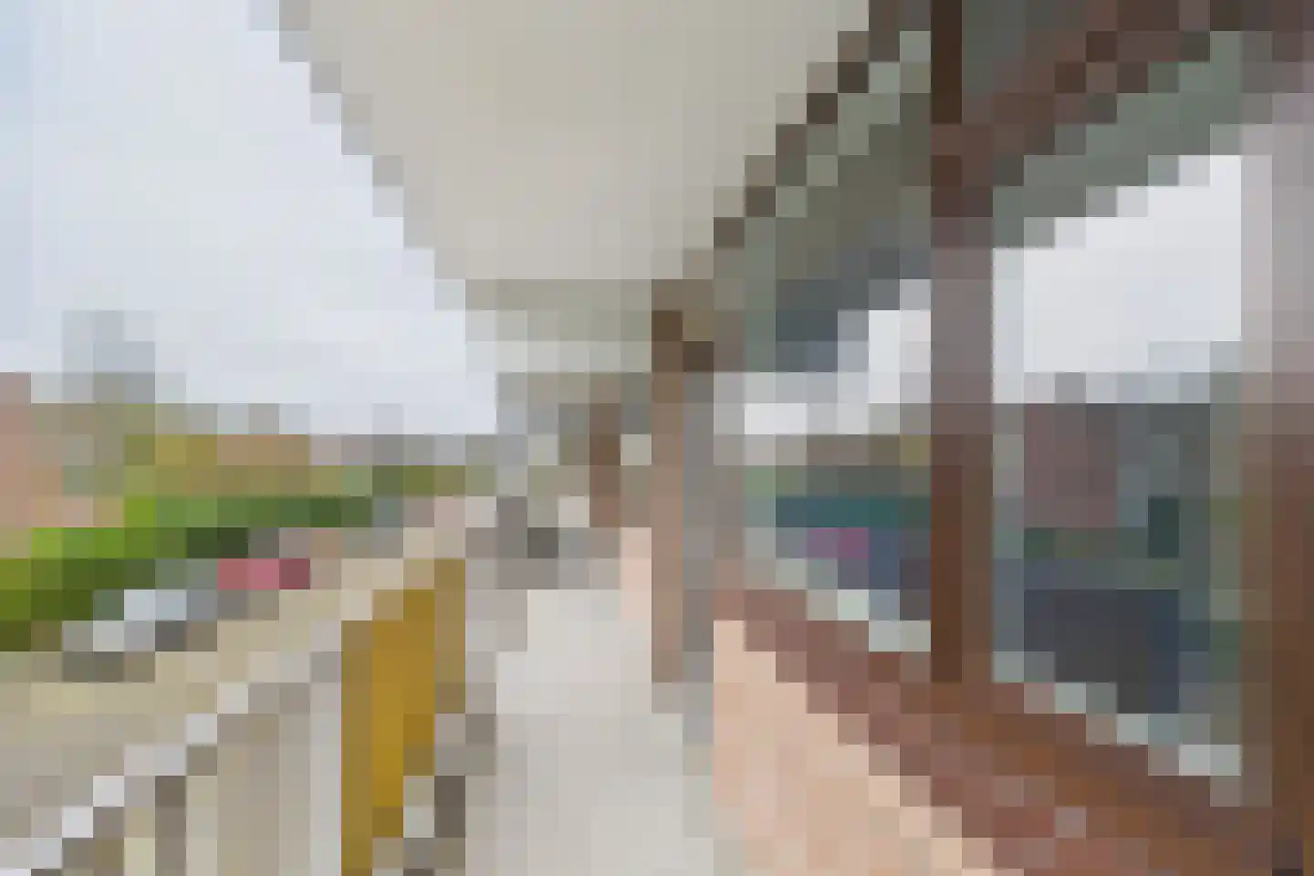 Noteneeweg 17 Terneuzen thumbnail 31