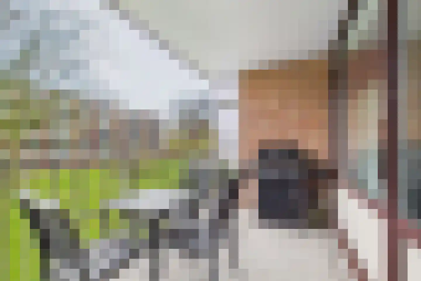 Noteneeweg 17 Terneuzen thumbnail 4