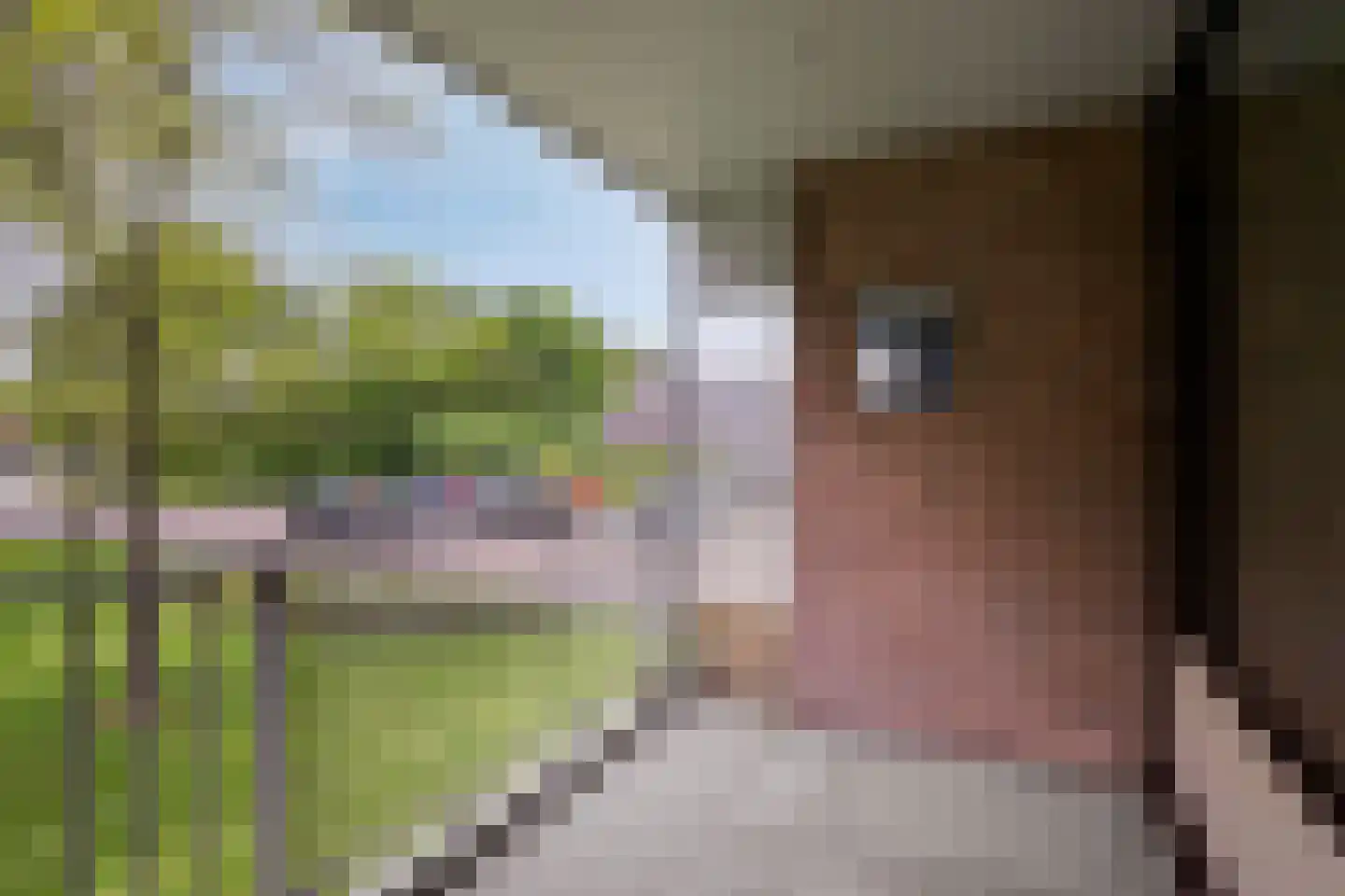 Noteneeweg 25 Terneuzen thumbnail 15