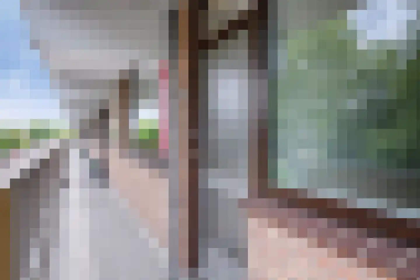Noteneeweg 25 Terneuzen thumbnail 4