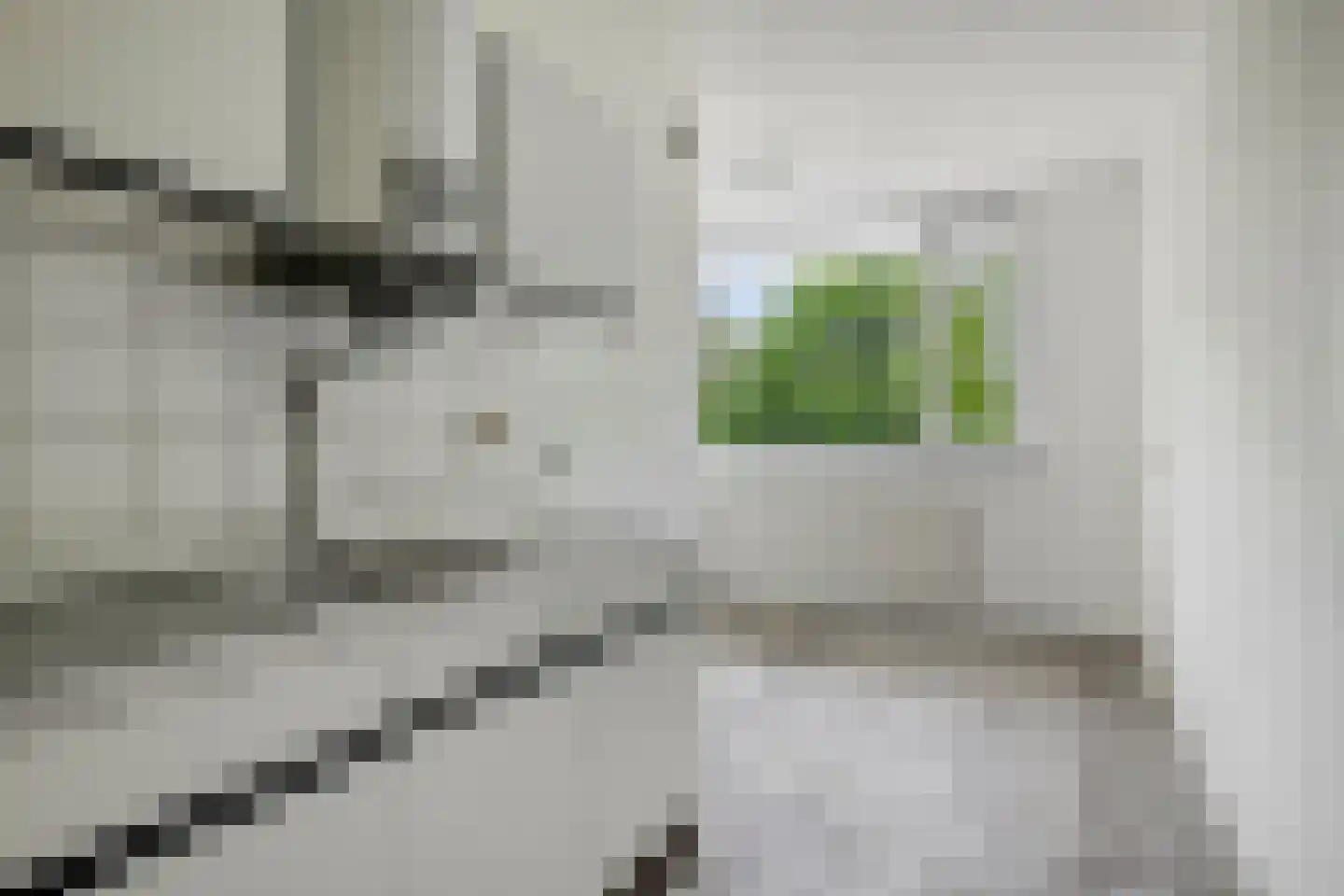 Noteneeweg 25 Terneuzen thumbnail 5