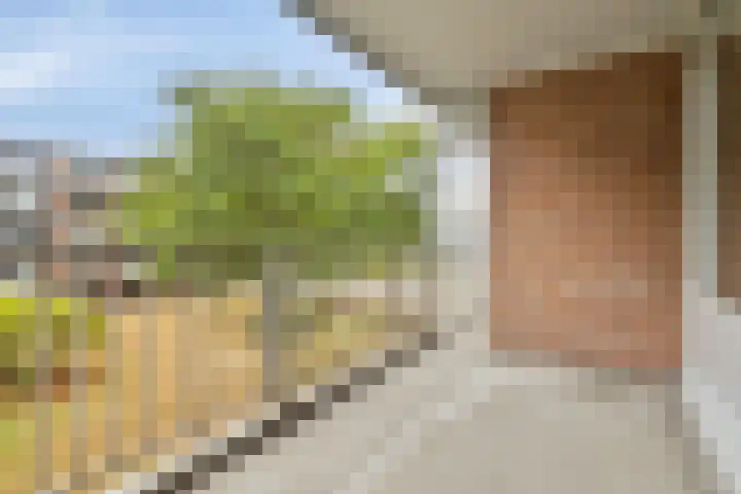 Noteneeweg 39 Terneuzen thumbnail 13