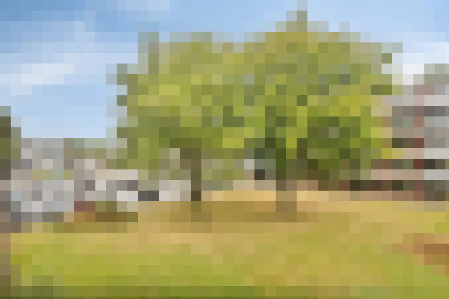 Noteneeweg 39 Terneuzen thumbnail 14