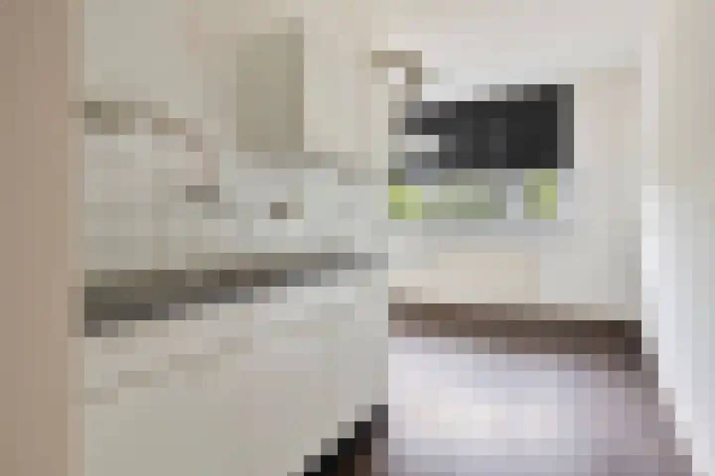 Noteneeweg 39 Terneuzen thumbnail 5