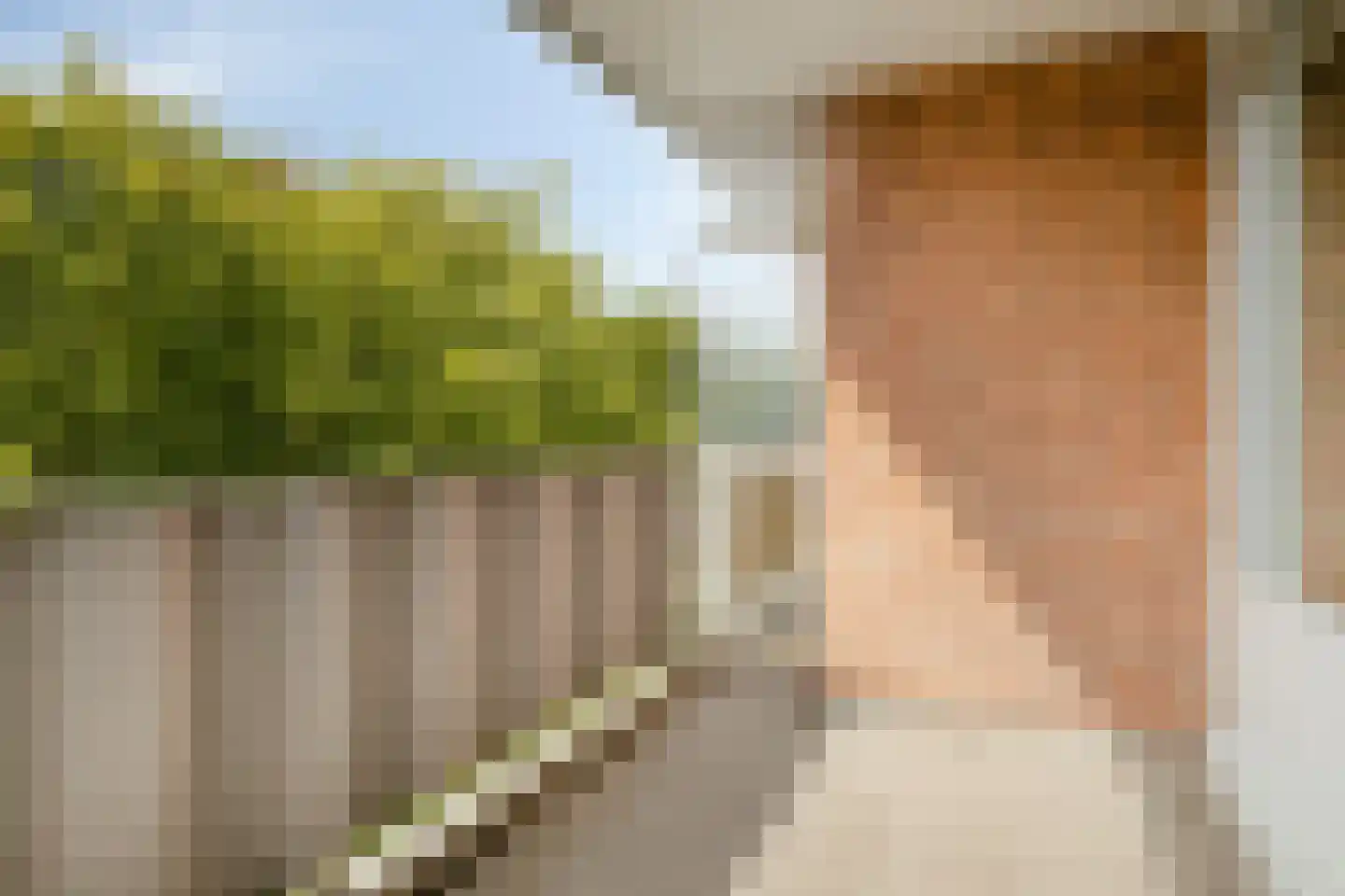 Noteneeweg 51 Terneuzen thumbnail 14