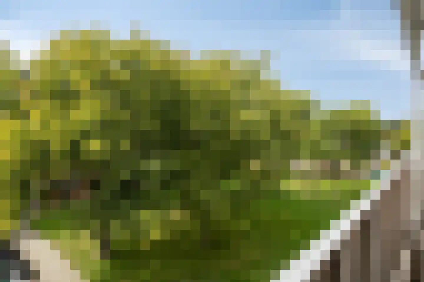 Noteneeweg 51 Terneuzen thumbnail 17