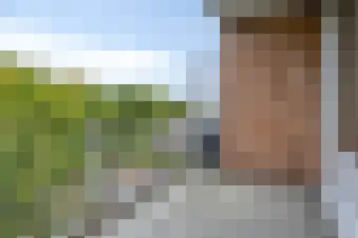 Noteneeweg 79 Terneuzen thumbnail 12