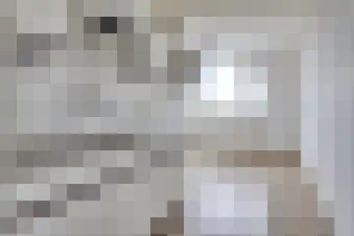 Noteneeweg 79 Terneuzen thumbnail 6