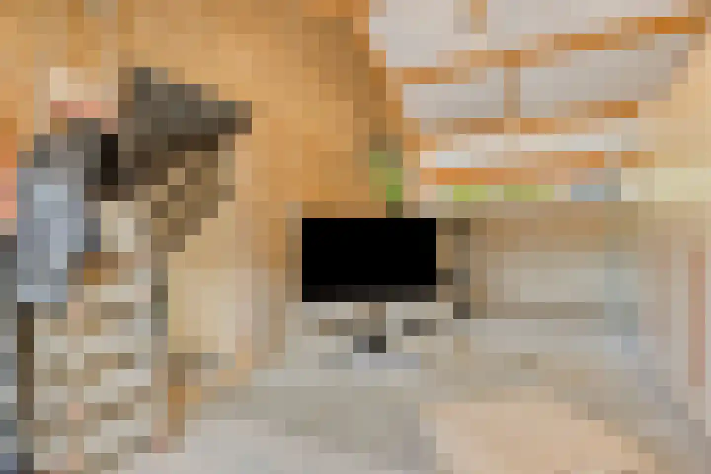 Notengaard 18 Doorn thumbnail 19