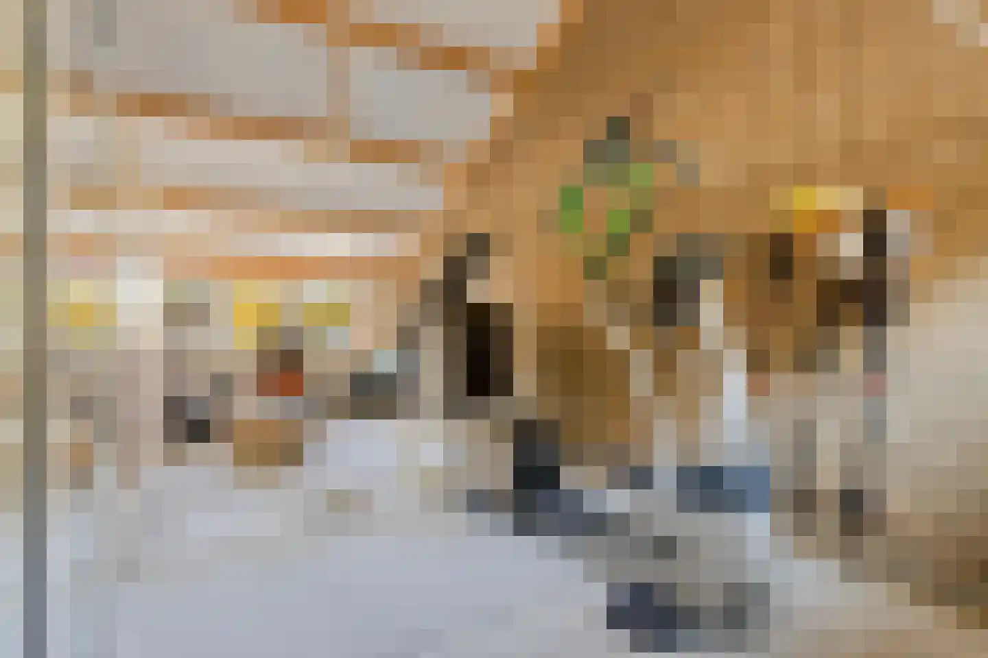 Notengaard 18 Doorn thumbnail 20