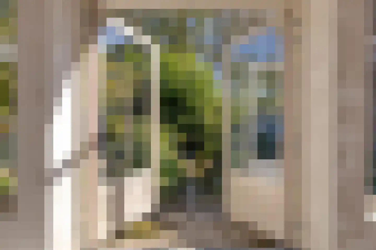 Notengaard 18 Doorn thumbnail 37
