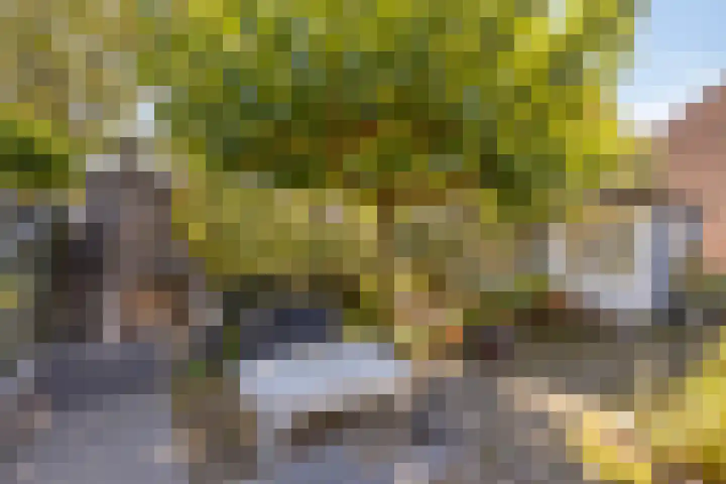 Notengaard 18 Doorn thumbnail 39