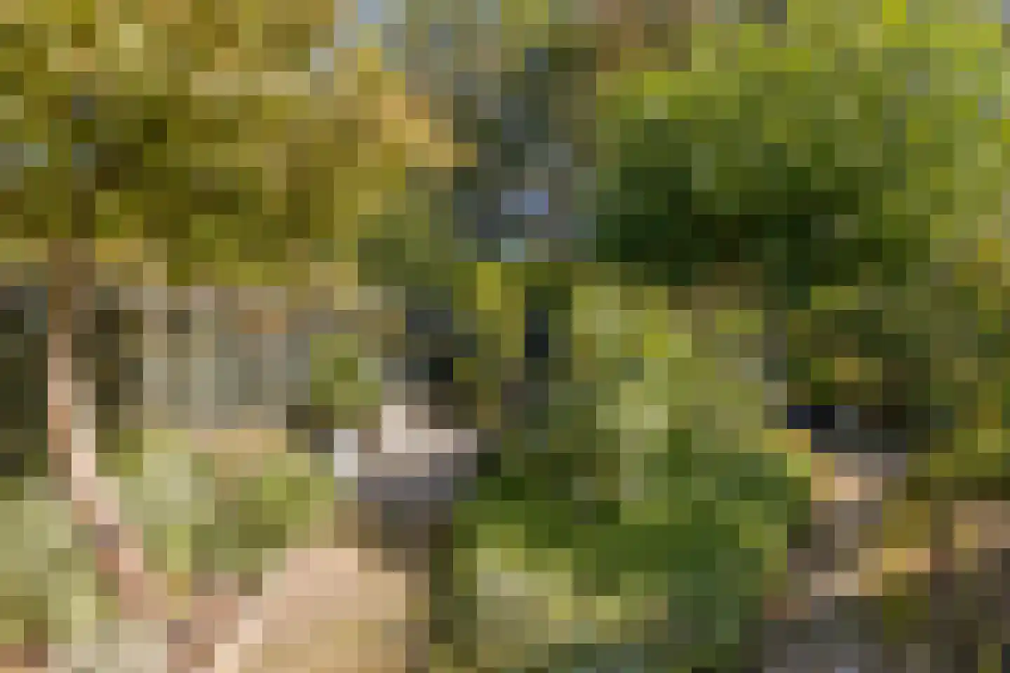 Notengaard 18 Doorn thumbnail 40