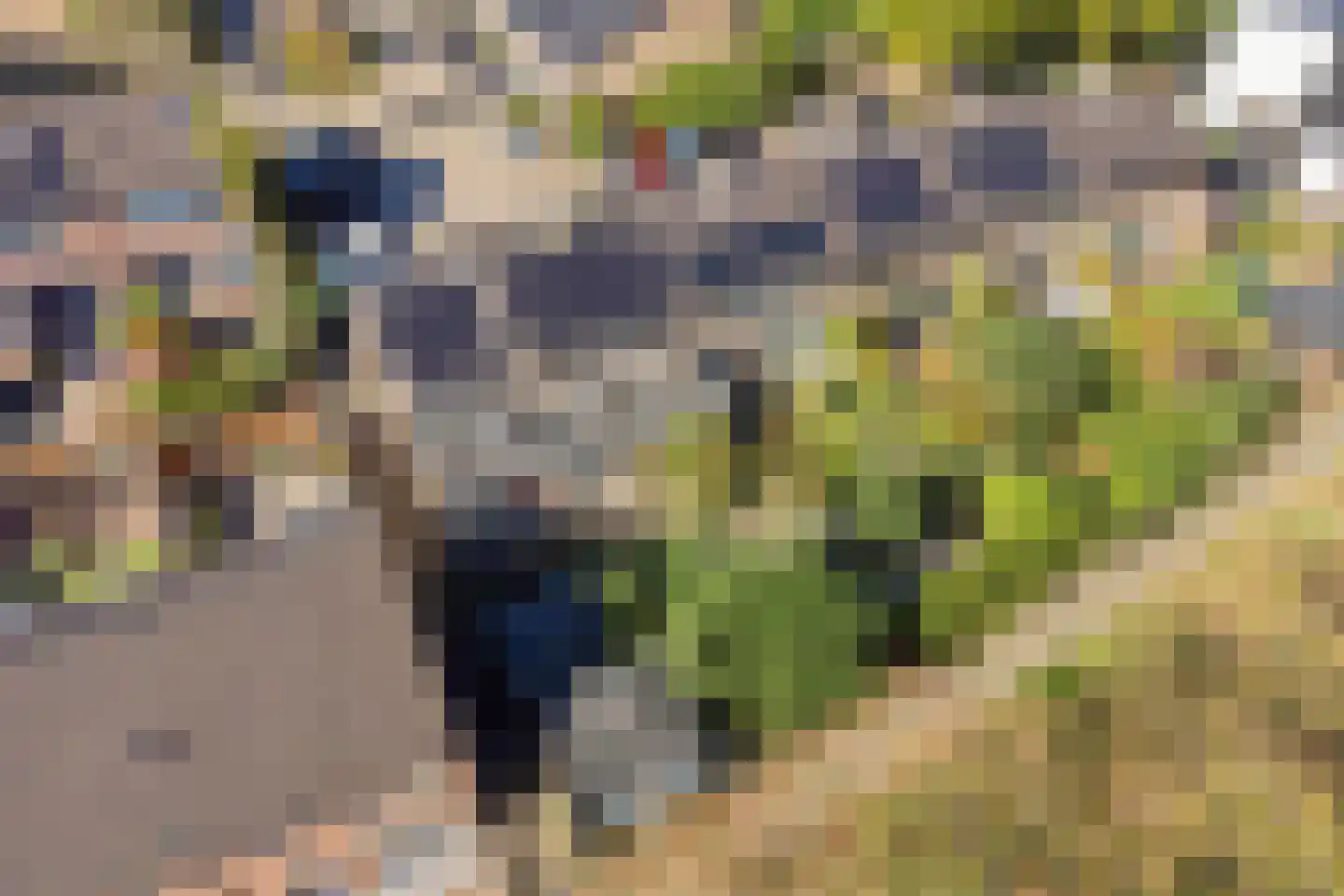 Notengaard 18 Doorn thumbnail 46
