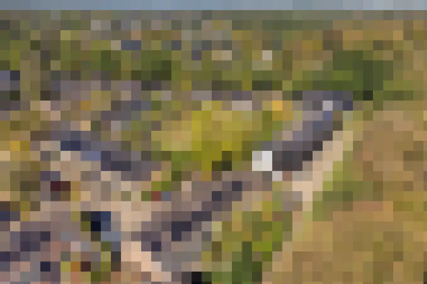 Notengaard 18 Doorn thumbnail 47