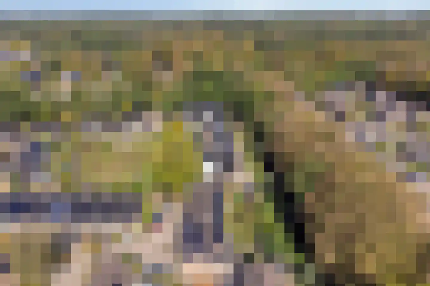 Notengaard 18 Doorn thumbnail 48