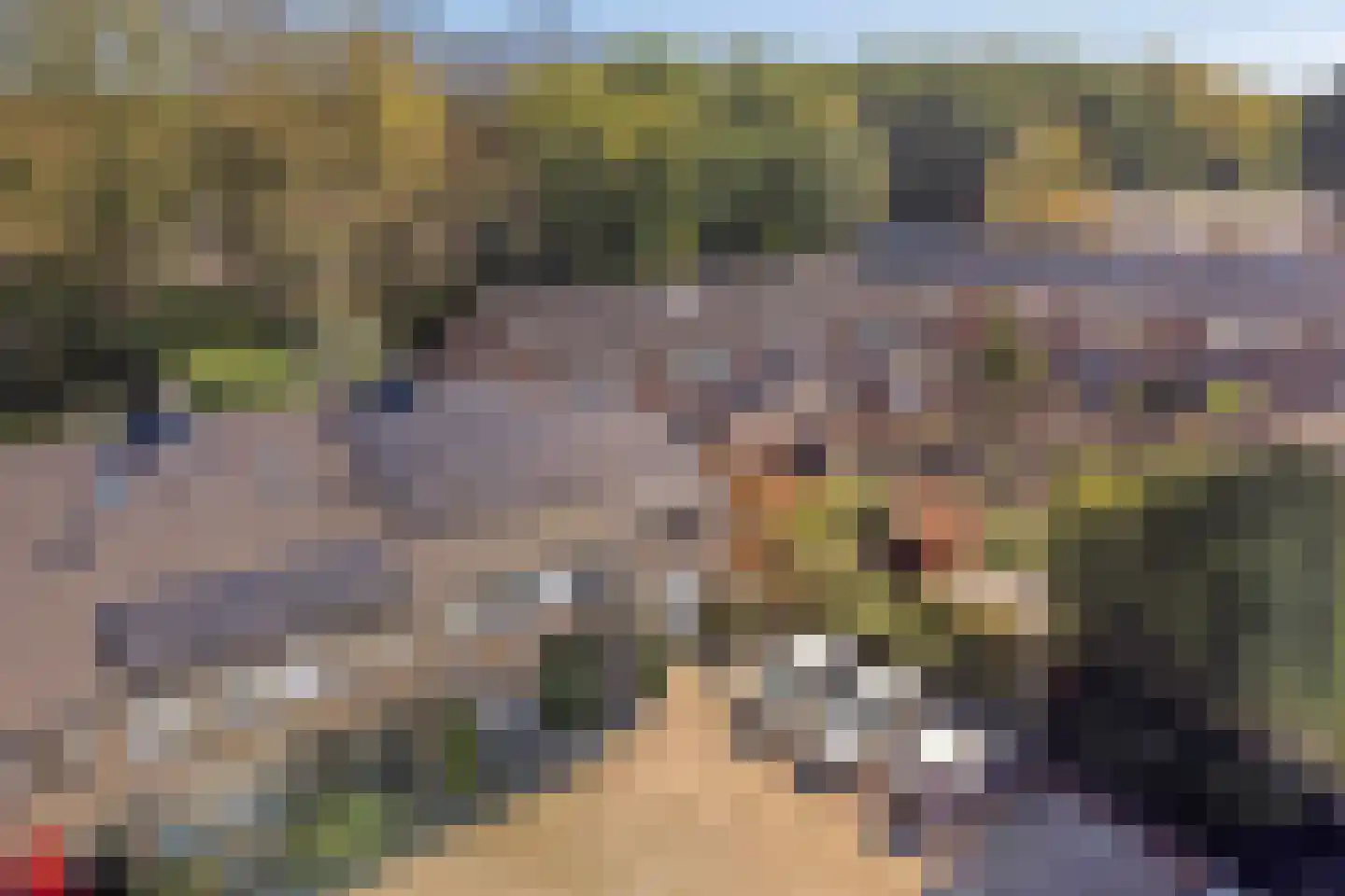 Notengaard 18 Doorn thumbnail 49