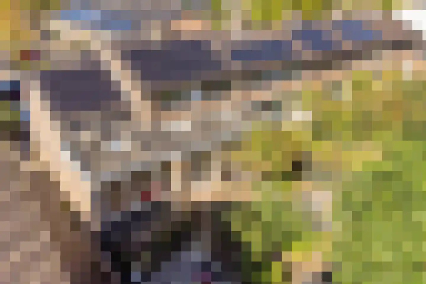 Notengaard 18 Doorn thumbnail 50