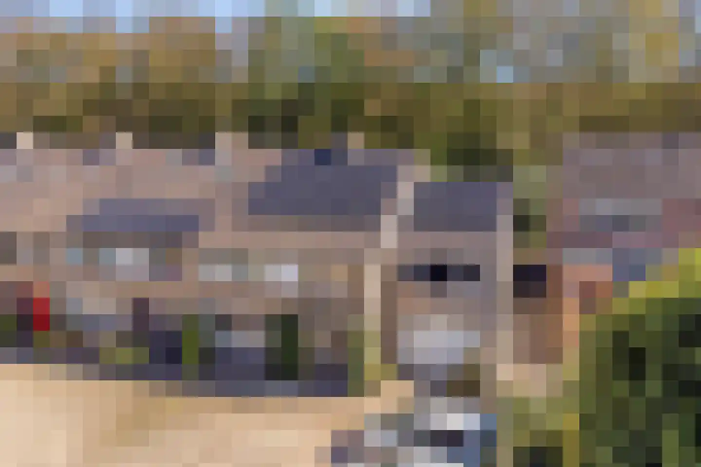 Notengaard 18 Doorn thumbnail 51