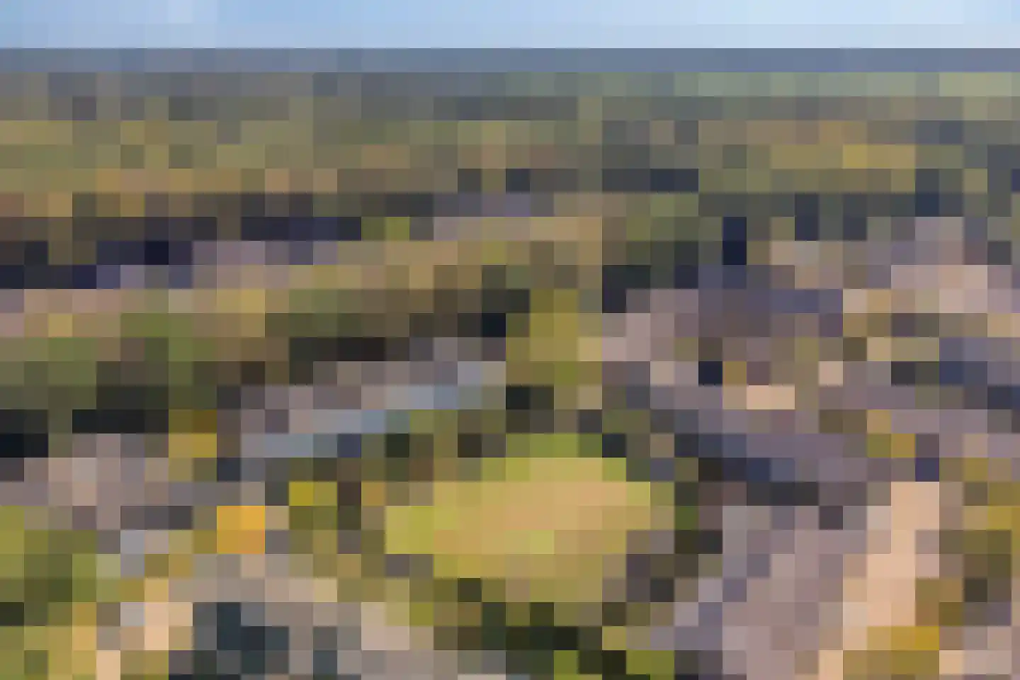 Notengaard 18 Doorn thumbnail 52