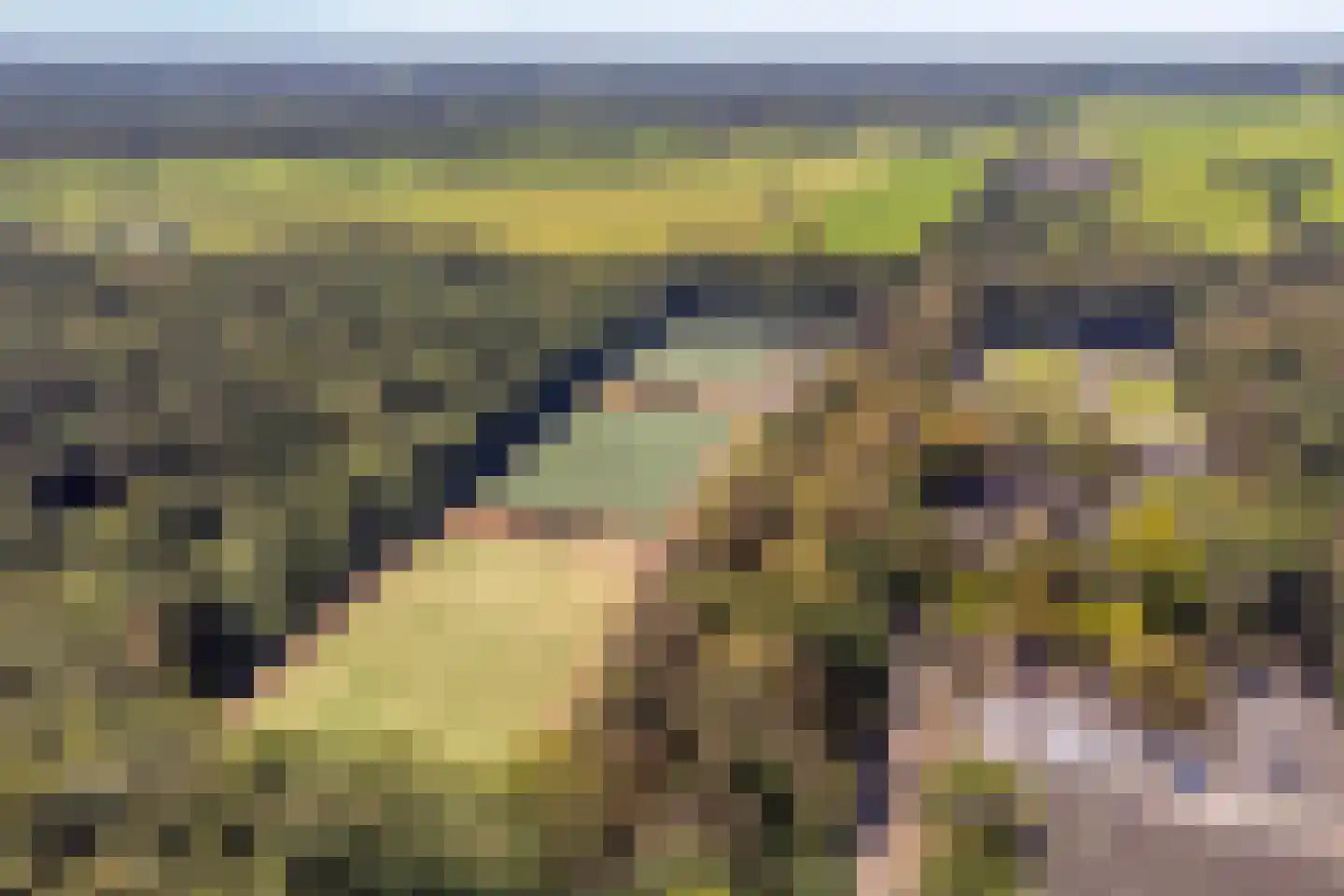Notengaard 18 Doorn thumbnail 53