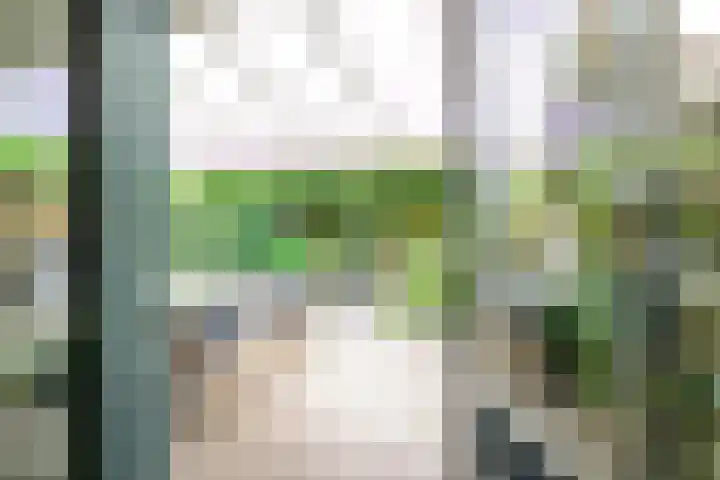 Notengaard 5 Doorn thumbnail 13
