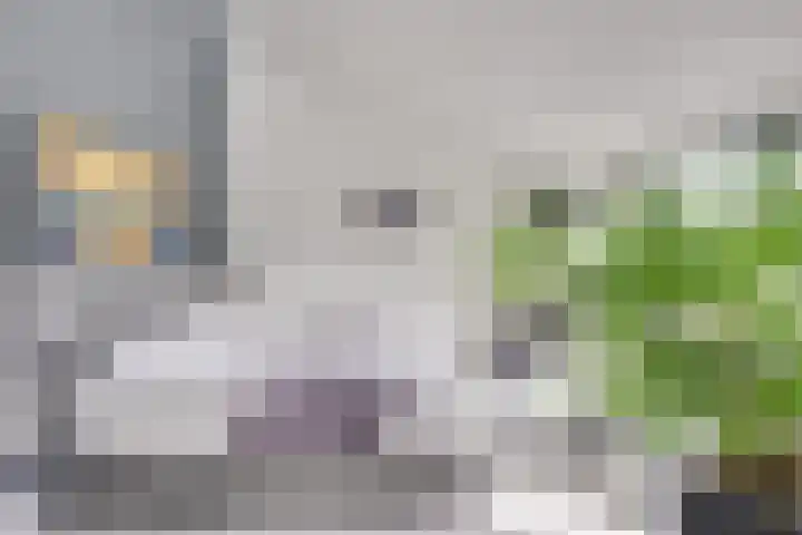 Notengaard 5 Doorn thumbnail 28