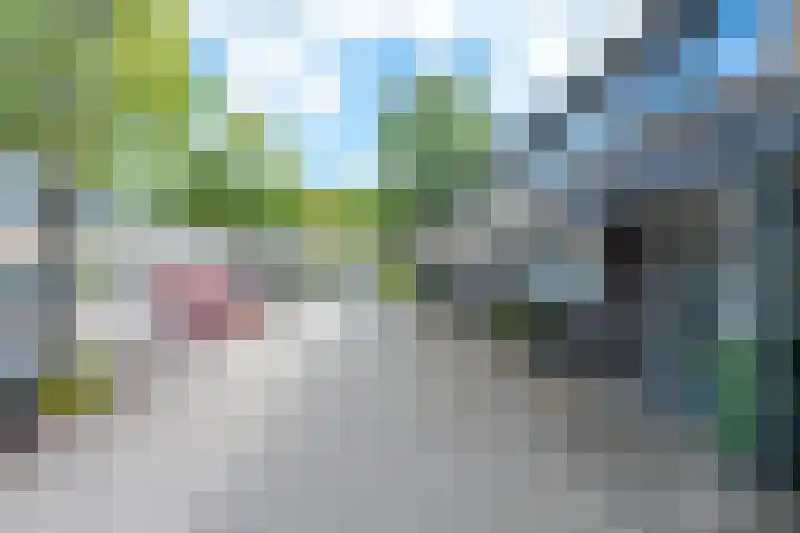 Notengaard 5 Doorn thumbnail 39