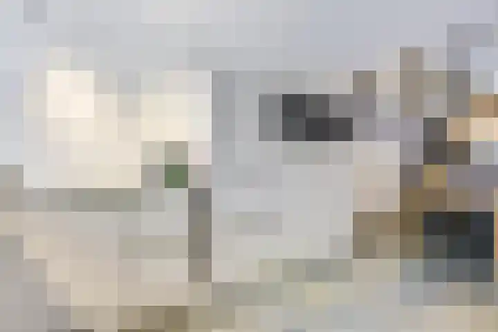 Notengaard 5 Doorn thumbnail 6