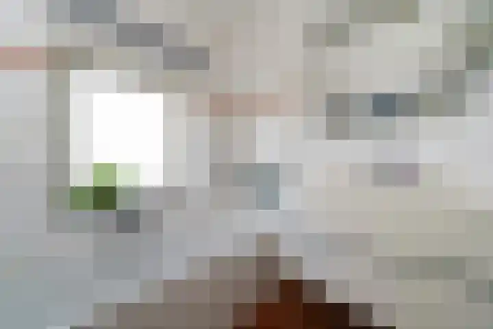 Notenhagen 14 Rotterdam thumbnail 16