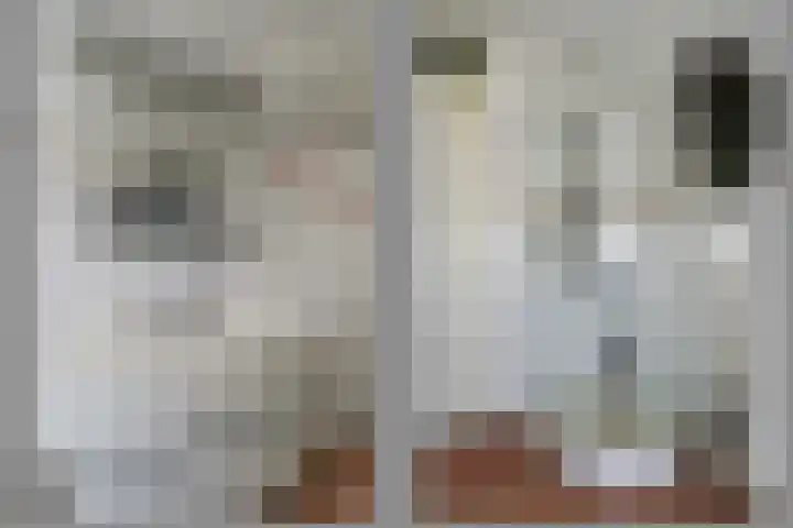 Notenhagen 14 Rotterdam thumbnail 19